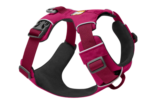 Front Range Harness Hibiscus Pink | Ruffwear