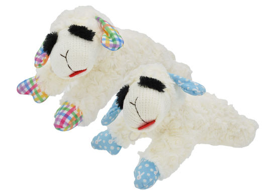 Spring Lamb Chop