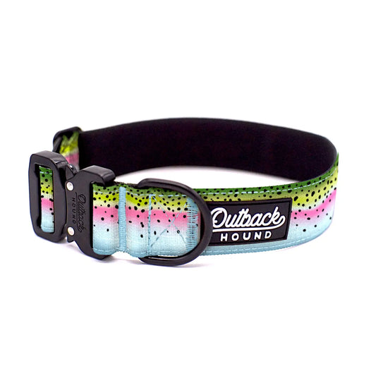 Outback Hound Rainbow Trout Dog Collar
