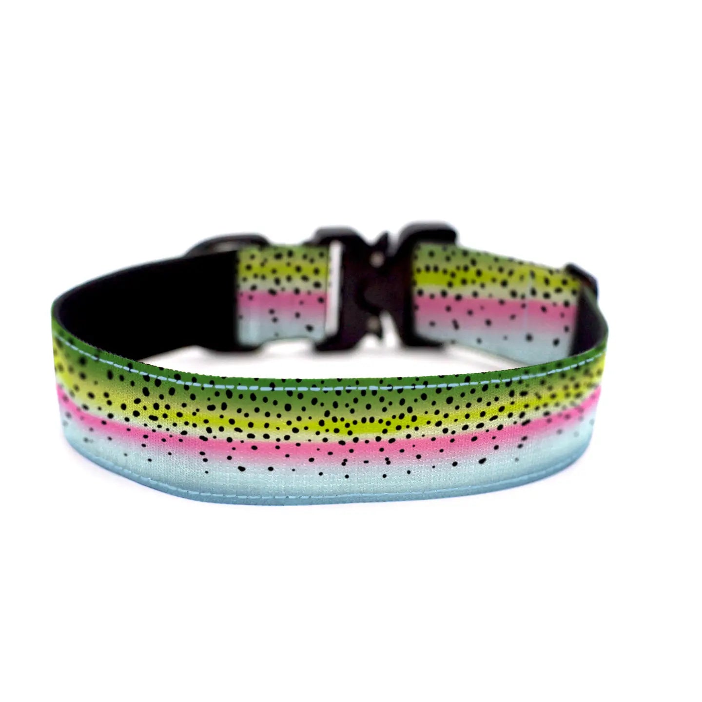 Outback Hound Rainbow Trout Dog Collar