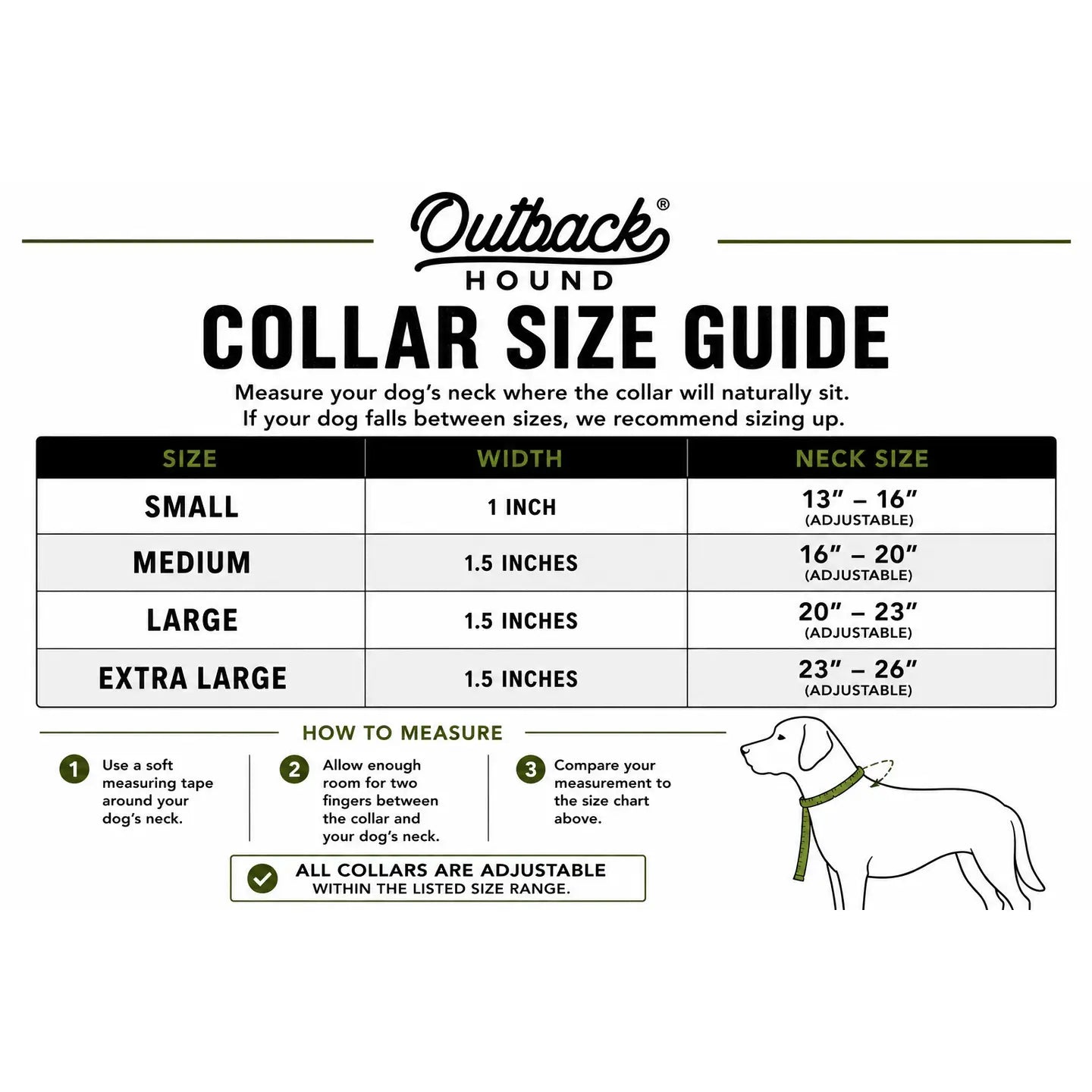 Outback Hound Rainbow Trout Dog Collar