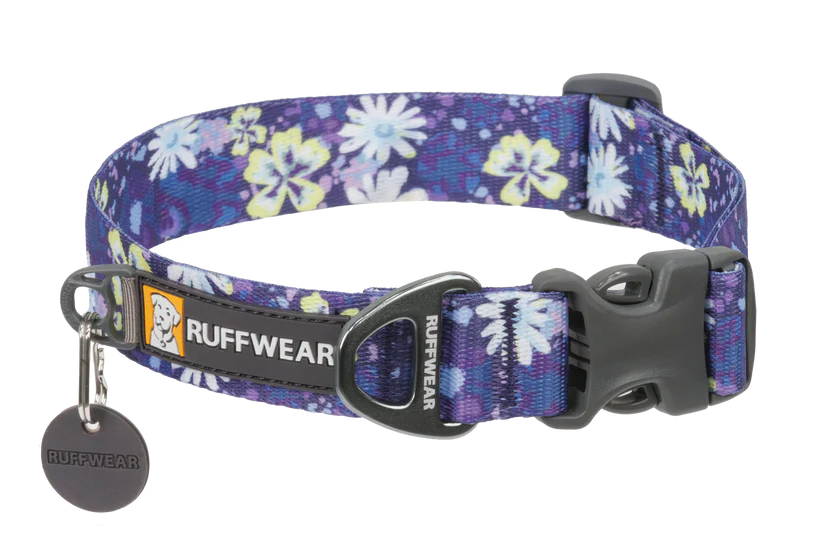Front Range Collar Wildflower