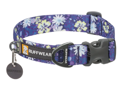 Front Range Collar Wildflower