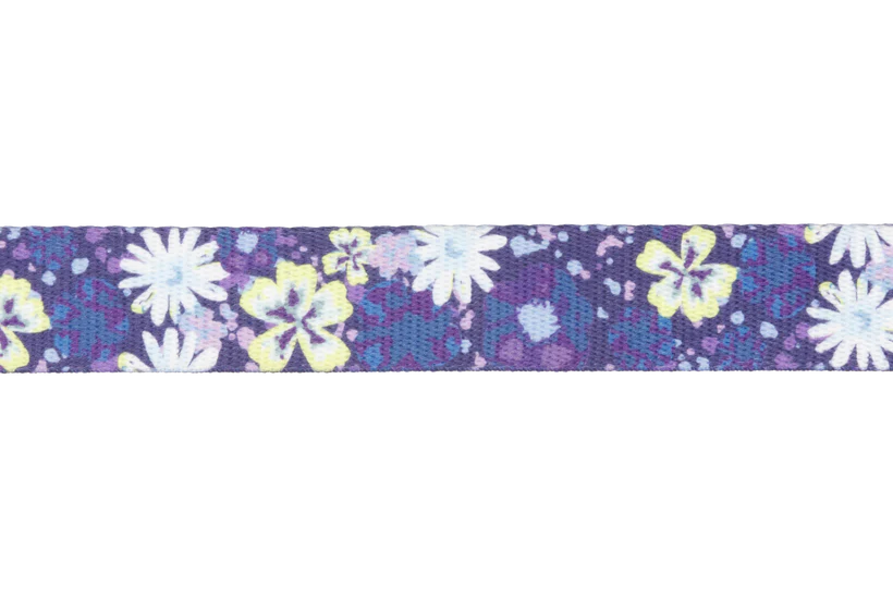 Front Range Collar Wildflower