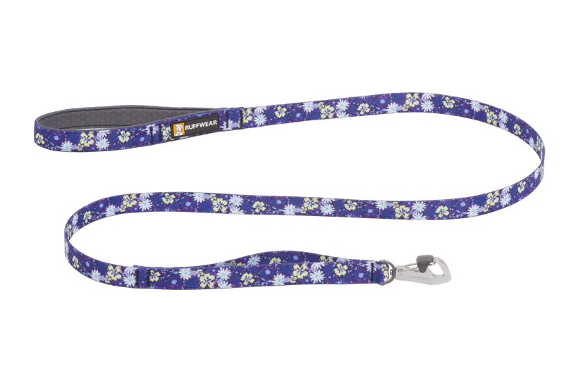 Front Range Leash Wildflower