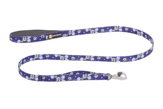 Front Range Leash Wildflower