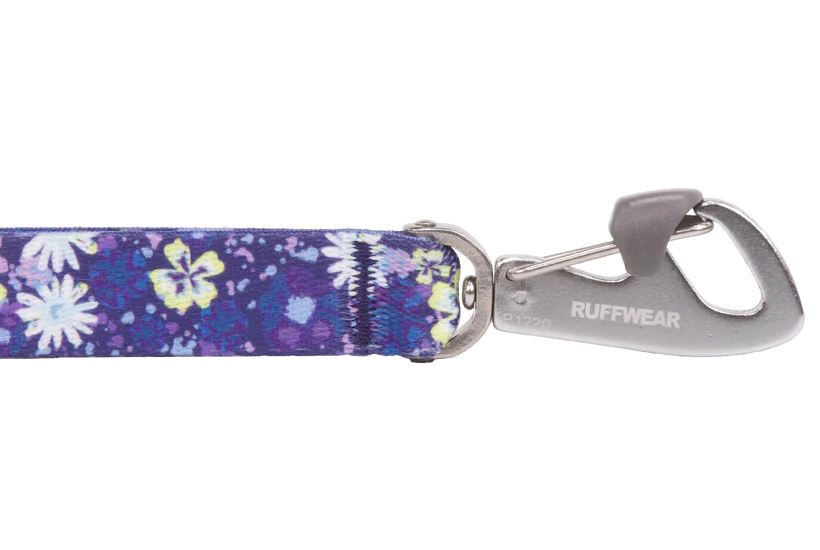 Front Range Leash Wildflower