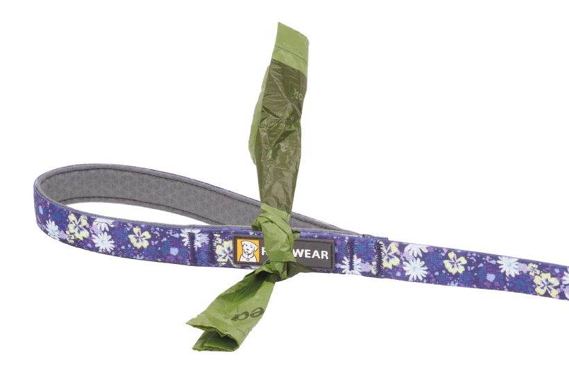 Front Range Leash Wildflower