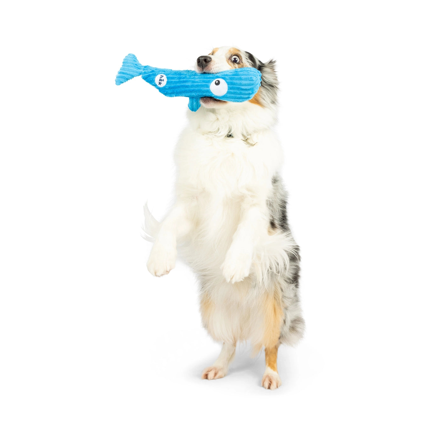 Fetchies Wilma Whale Dog Toy