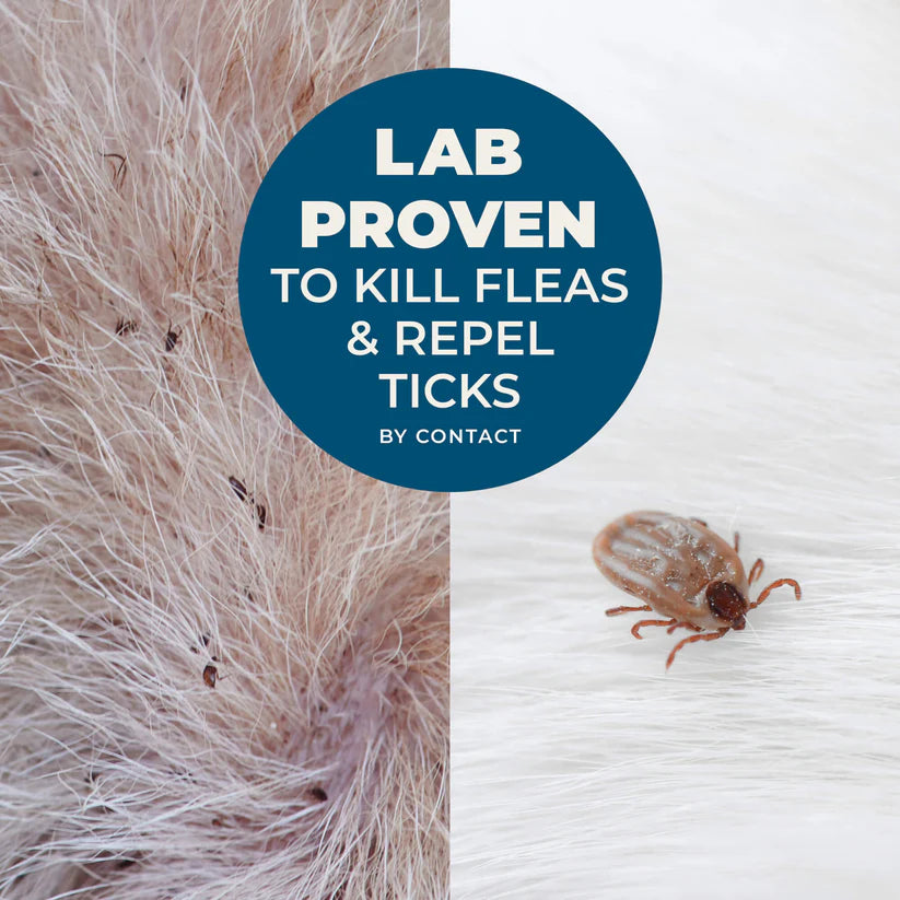Wondercide Rosemary Flea & Tick Shampoo