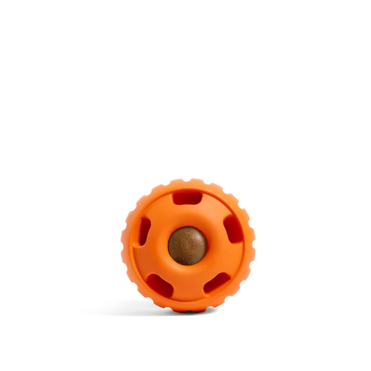 Woof Pupsicle - Limited Edition Pumpkin