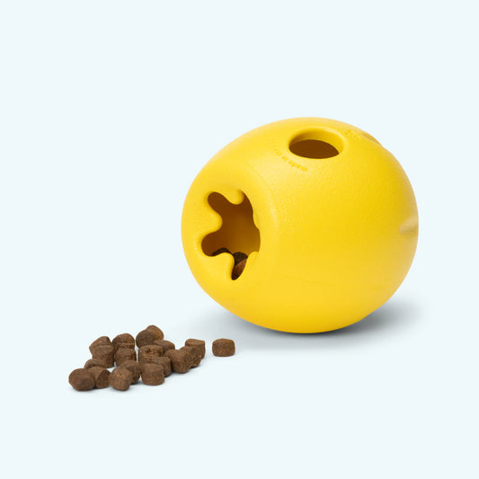 Dandelion Rumbl Treat Toy by West Paw