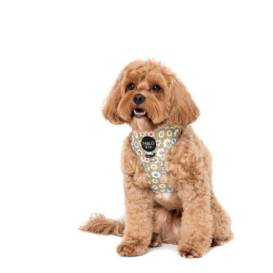 Smiley Flowers Adjustable Harness | Pablo & Co.