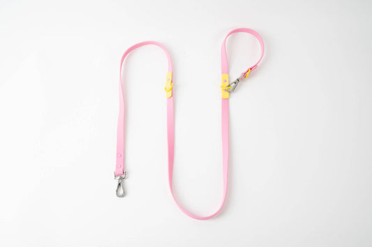 The Fritz Leash | Pink