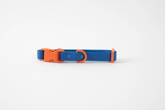 Buckle Collar Blue | Fritz