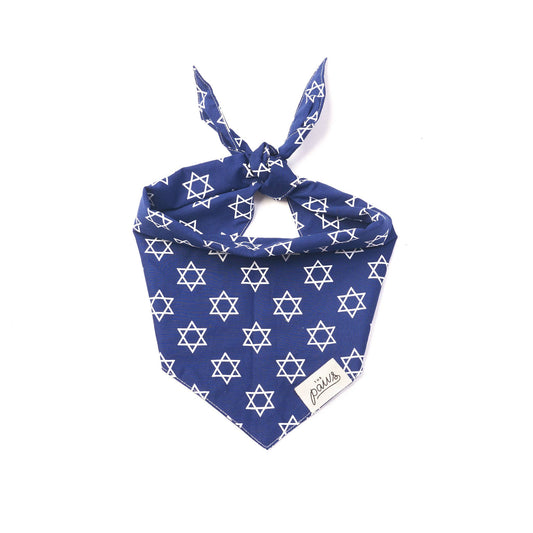 Lights Dog Bandana