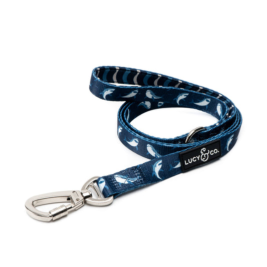 Shark Attack Leash | Lucy & Co.