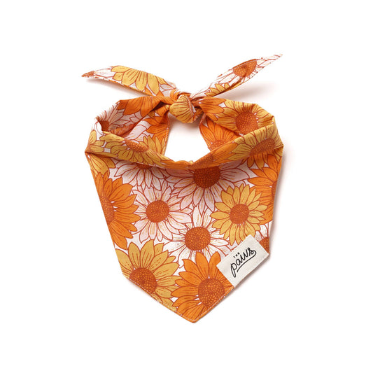 Fielding Dog Bandana