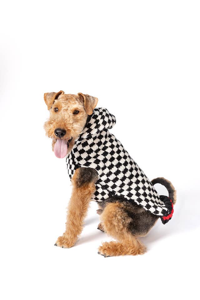Checkerboard Hoodie Dog Sweater by Chilly Dog