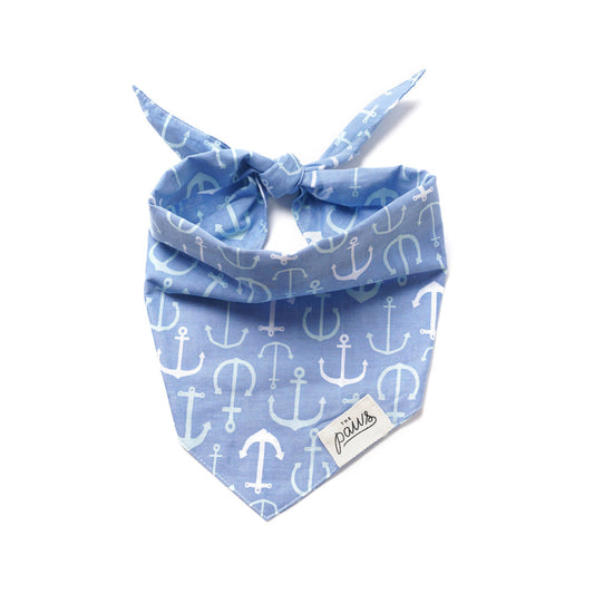 Cape Charles Dog Bandana | The Paws