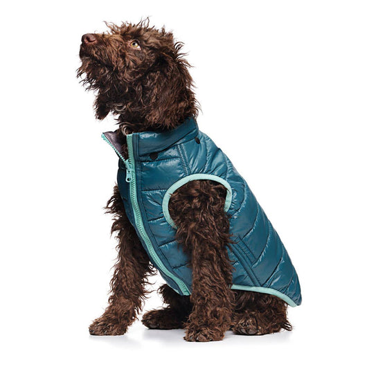 Teal Reversible Puffer Jacket | Love Thy Beast