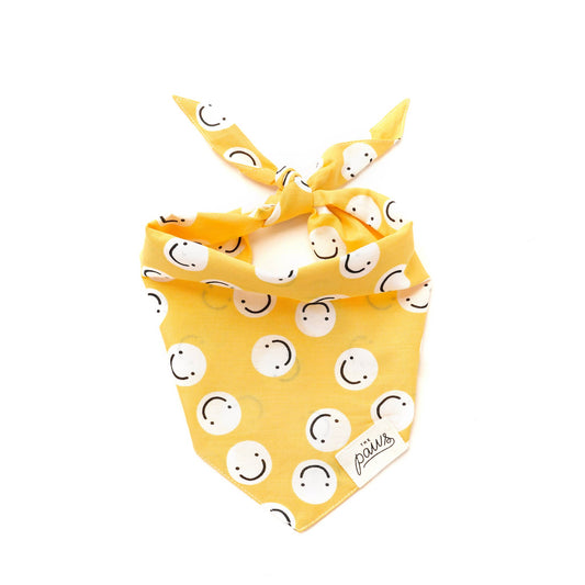 Friends Dog Bandana | The Paws