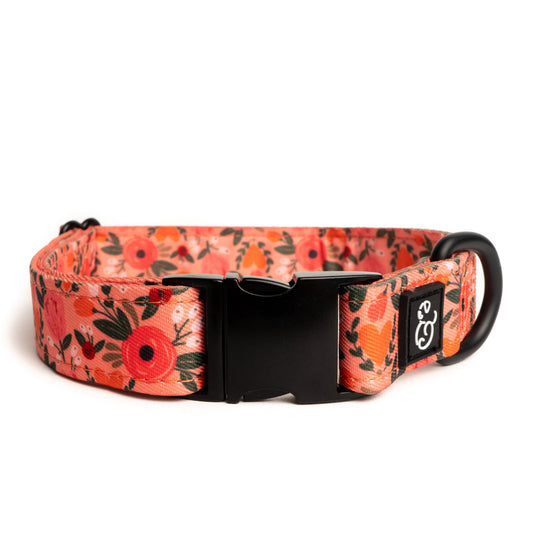 Posy Pink Collar